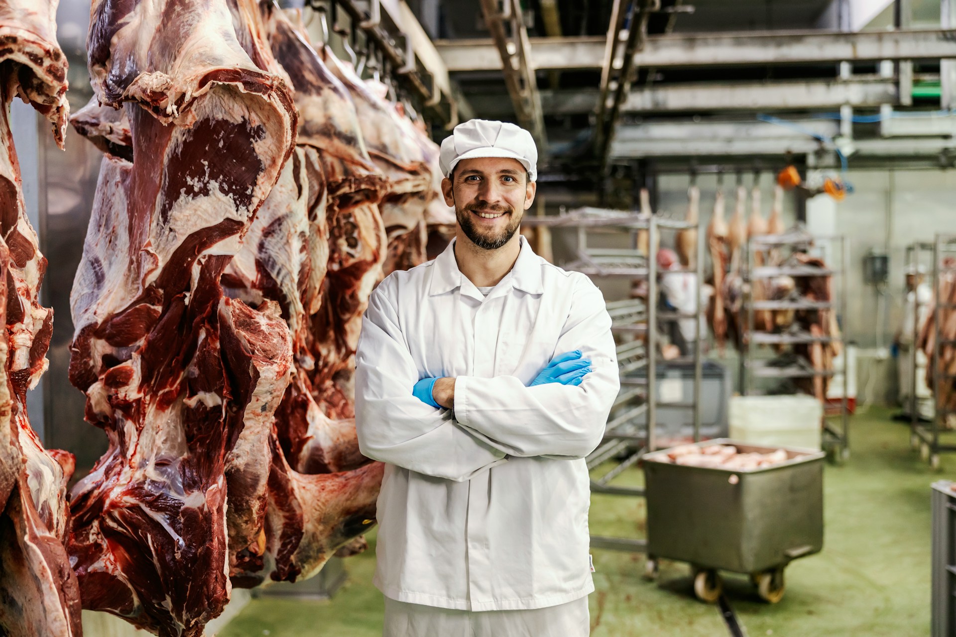 Global Processors and Supply Chain